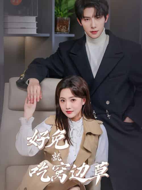 好兔就吃窝边草（60集全）朱一未＆白昕怡-搜外项目网