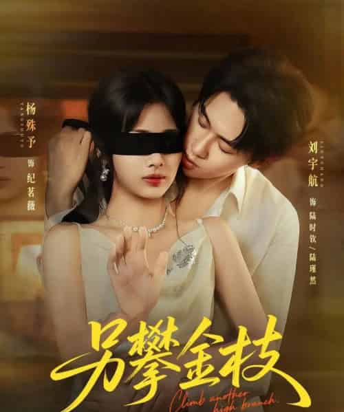 另攀高枝(60集)刘宇航&杨殊予-搜外项目网
