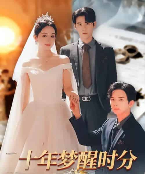 十年梦醒时分（73集全）杜恩宇＆李秀-搜外项目网