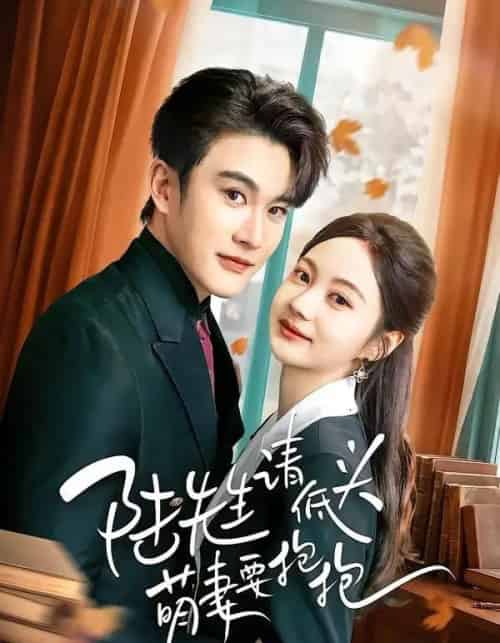 陆先生请低头萌妻要抱抱（51集全）陈天晓＆曾和惠子-搜外项目网