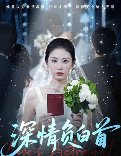 深情负白首（77集）阳欣柯＆钟琪-搜外项目网