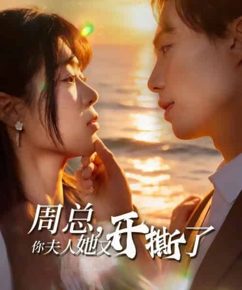 周总，你夫人她又开撕了（45集全）张航＆张梦薇-搜外项目网