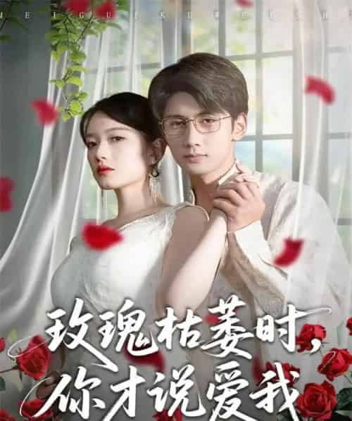 玫瑰枯萎时，你才说爱我（100集全）龚钦玥＆唐治璇-搜外项目网