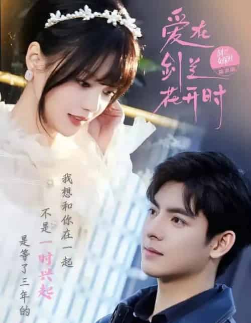 爱在剑兰花开时(56集全)王皓轩&陈思予-搜外项目网