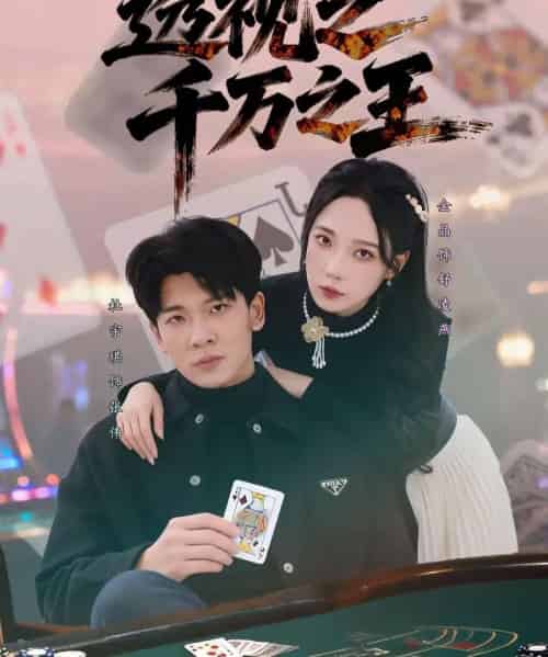 透视之千万之王(73集全)杜宇琪&金晶-搜外项目网