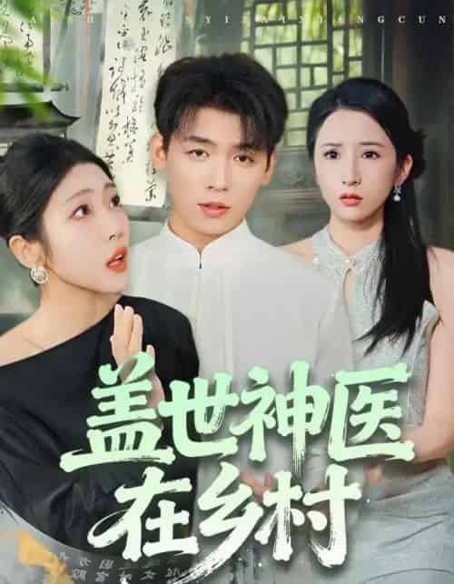 盖世神医在乡村（80集全）李源＆齐惠昭-搜外项目网