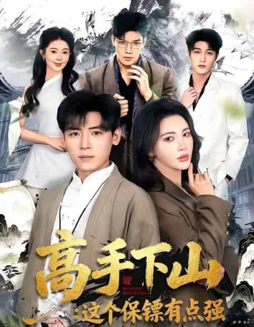 高手下山:这个保镖有点强(72集全)李源&柯珂-搜外项目网