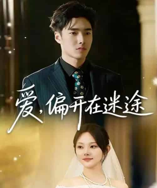 爱，偏开在迷途（63集全）林非梵＆张啸昂-搜外项目网