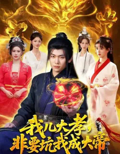 我儿大孝，非要坑我成大帝（117集全）廖静怡＆李家豪-搜外项目网