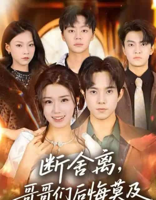 断舍离，哥哥们后悔莫及（70集全）杨晓婷＆程硕-搜外项目网