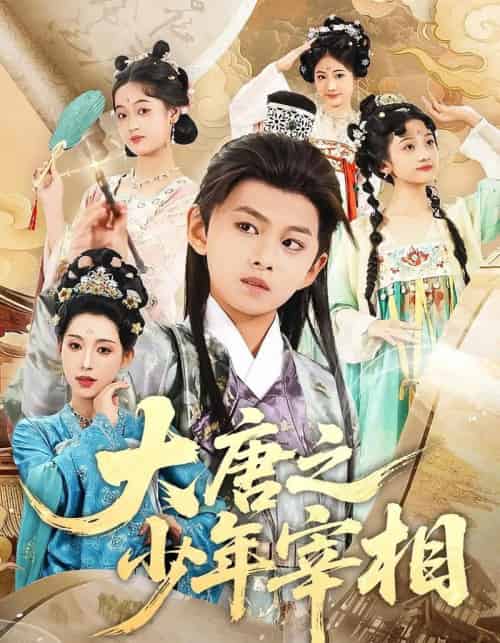 大唐之少年宰相（63集）丁梓航＆韩笑-搜外项目网