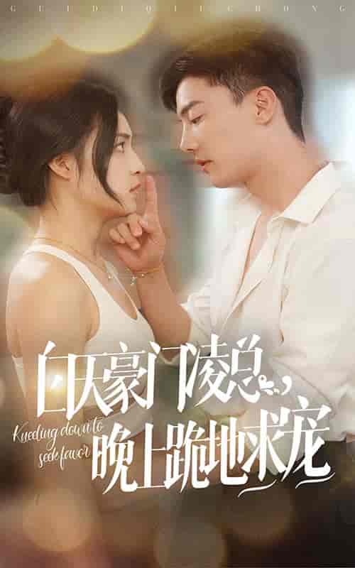 白天豪门凌总晚上跪地求宠(60集全)宋彧佳&杜亚飞-搜外项目网