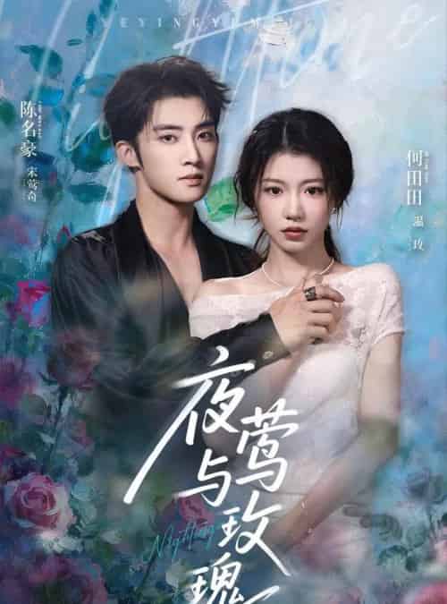 夜莺与玫瑰(66集)陈名豪&何田田-搜外项目网