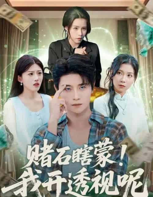 赌石瞎蒙！我开透视呢（81集全）李梓荧＆刘方为-搜外项目网