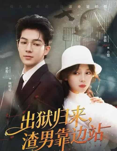 出狱归来,渣男靠边站(81集全)唐敬&亦程-搜外项目网