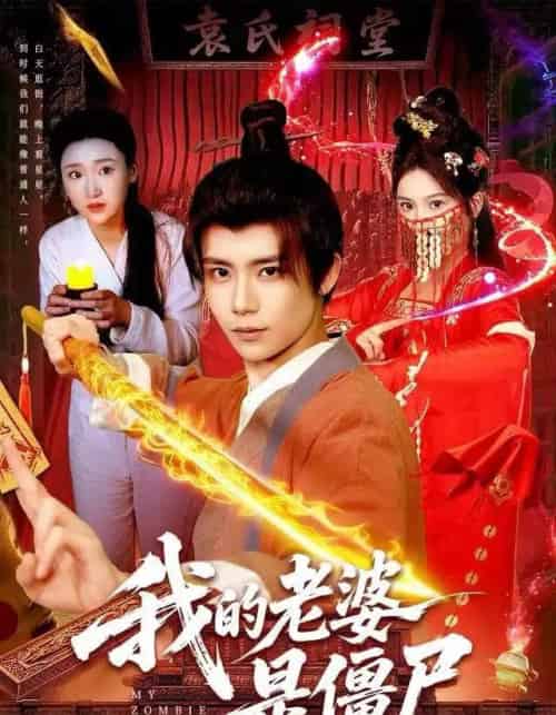 我的老婆是僵尸（118集全）谢蕊伊＆夏锦沐-搜外项目网