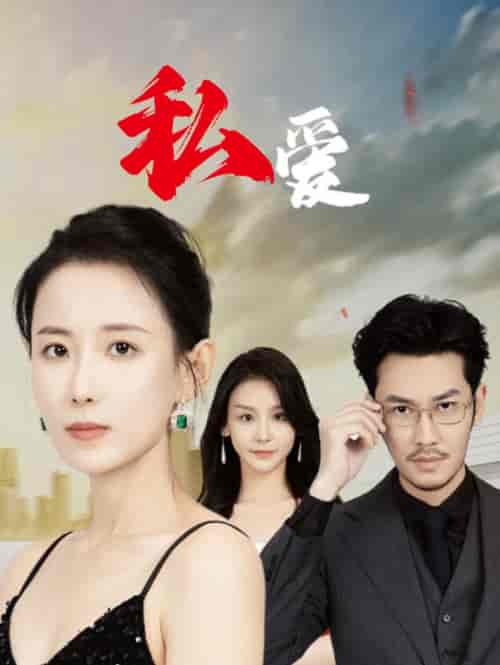 私爱（66集全）-搜外项目网