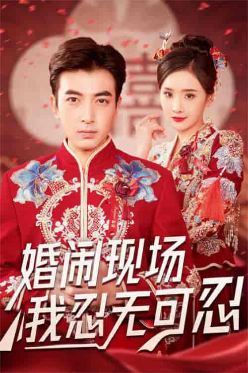 婚闹现场我忍无可忍（30集全）郑明洋＆婉晴-搜外项目网