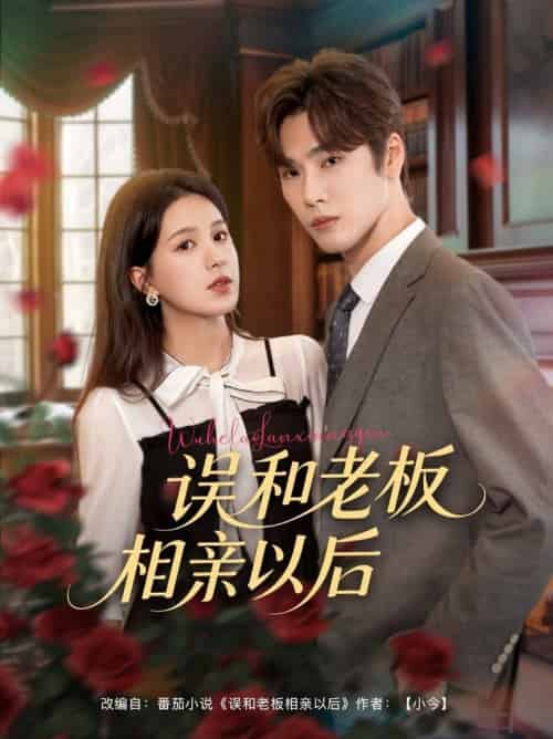 误和老板相亲以后（80集全）鹿鸣＆方思畅-搜外项目网