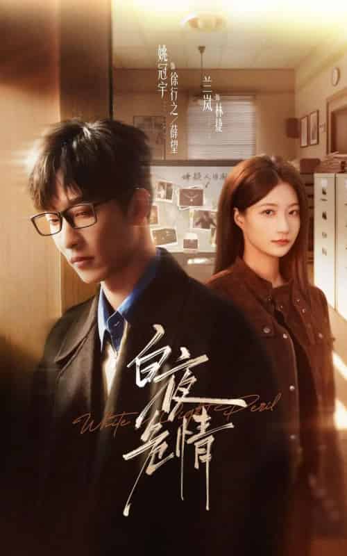 白夜危情(70集全)姚冠宇&兰岚-搜外项目网