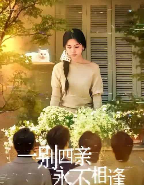 一别四亲永不相逢（65集全）彭剑雄＆咪咔-搜外项目网