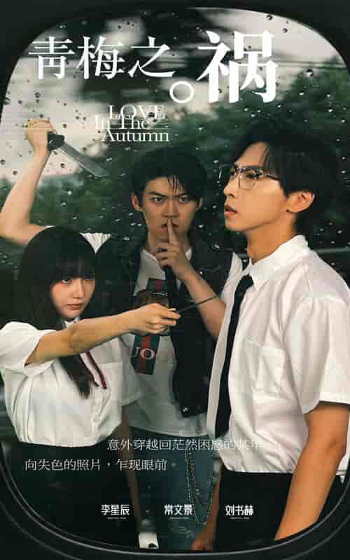 青梅之祸（81集）常文景-搜外项目网