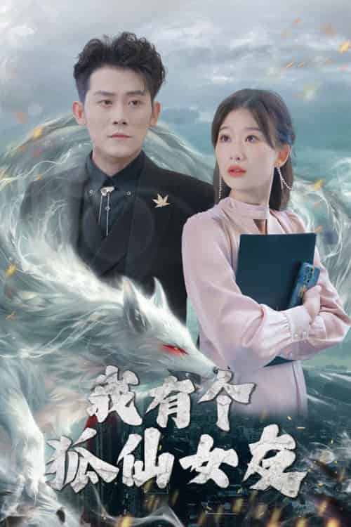 我有个狐仙女友（98集全）张子寒＆张莹莹-搜外项目网
