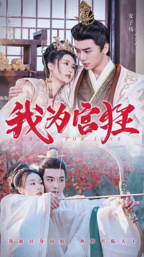 我为宫狂（59集全）安子杨＆郑晨雨-搜外项目网