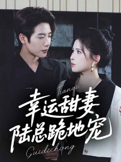 幸运甜妻,陆总跪地宠(74集全)马烁棋&邹漪琳-搜外项目网