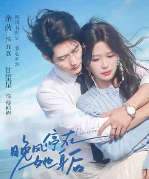 晚风停在她身后（61集全）甘望星＆余茵-搜外项目网