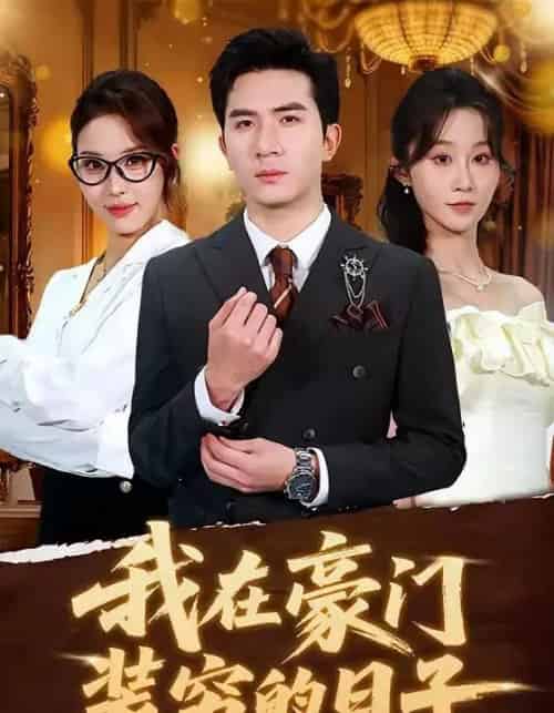 我在豪门装穷的日子（62集全）徐烯霁＆冯软软-搜外项目网