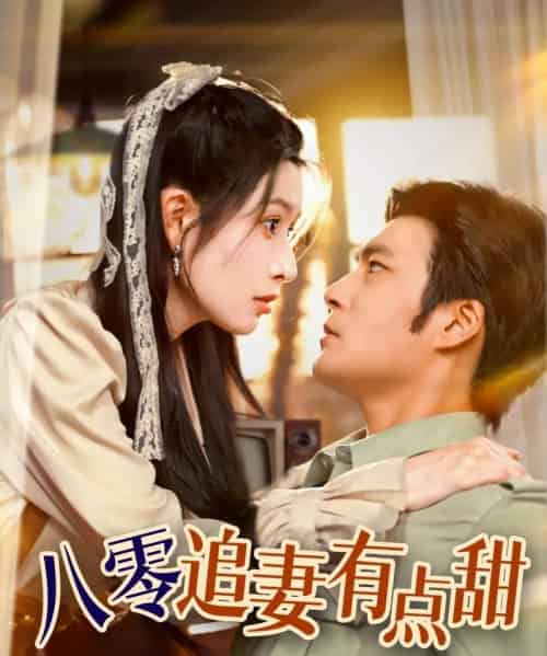 八零追妻有点甜(86集)胡涛&蒋昕妍-搜外项目网