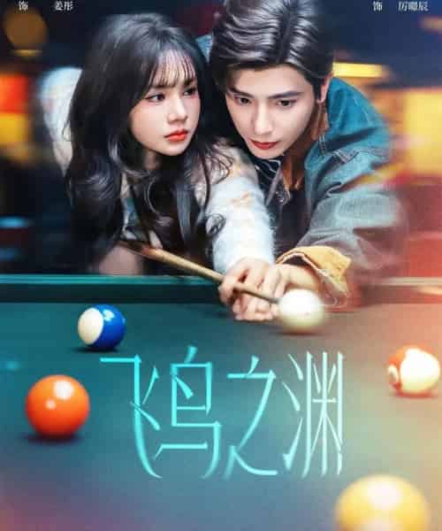 飞鸟之渊（67集全）何聪睿＆刘念-搜外项目网