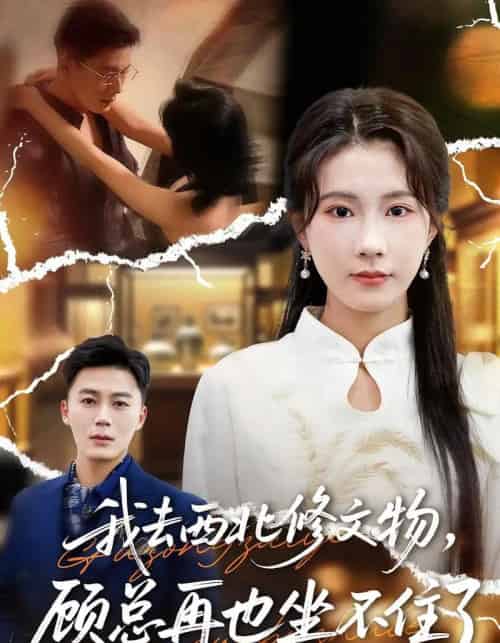 我去西北修文物，顾总再也坐不住了（46集全）曹嘉怡＆戴金鳞-搜外项目网