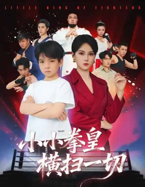 小小拳皇横扫一切（60集全）袁诗昂＆伍怡-搜外项目网