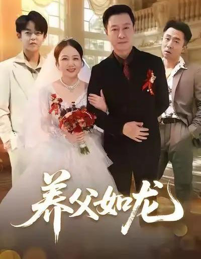 养父如龙（60集全）朱珂＆彤年-搜外项目网