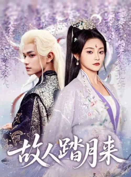 故人踏月来（60集全）张渊元＆塔瓦娜-搜外项目网