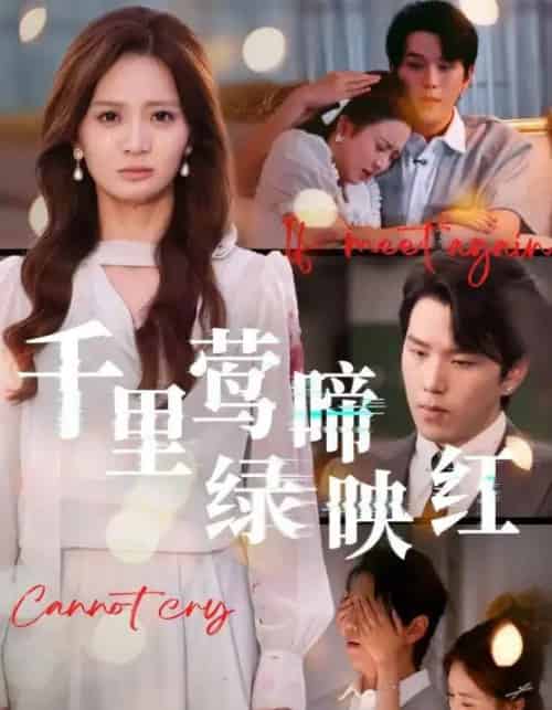 千里莺啼绿映红（63集全）罗嘉麒＆刘美娜-搜外项目网