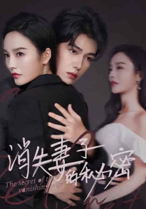 消失妻子的秘密(60)李胜楠-搜外项目网