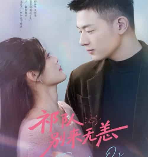 祁队别来无恙（72集全）谢承泽＆王芋麒-搜外项目网