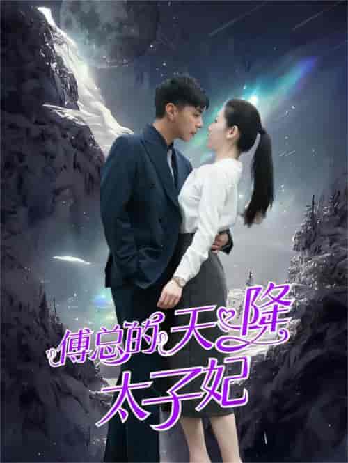 傅总的天降太子妃（86集）-搜外项目网