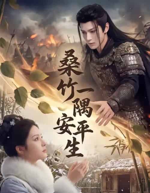 桑竹一隅安平生（54集全）AI-搜外项目网