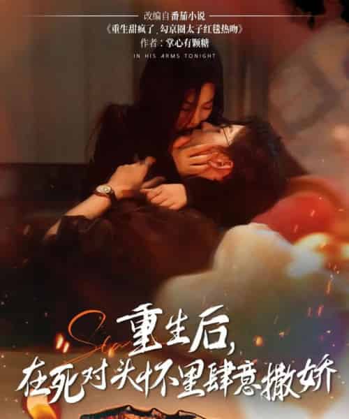 重生后在死对头怀里肆意撒娇（76集）张力壬＆张若辰-搜外项目网