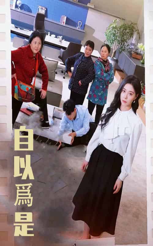 自以为是（61集全）韩琪-搜外项目网