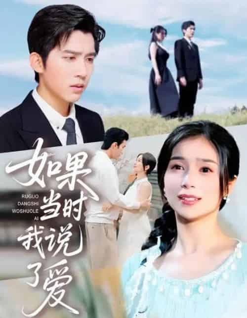 如果当时我说了爱(75集全)严雯丽&冯思源-搜外项目网