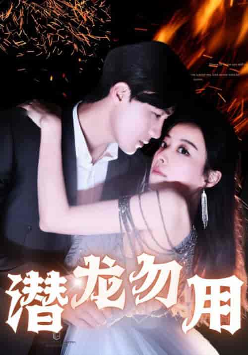 潜龙勿用（87集全）楚辰＆秦冰岚-搜外项目网