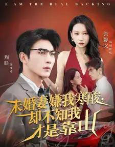 未婚妻嫌我寒酸却不知我才是靠山(70集全)张馨文&周朕-搜外项目网