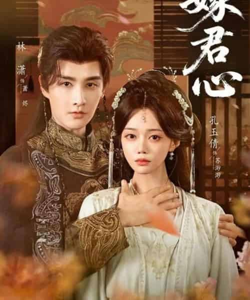 嫁君心（60集全）林潇＆孔玉倩-搜外项目网