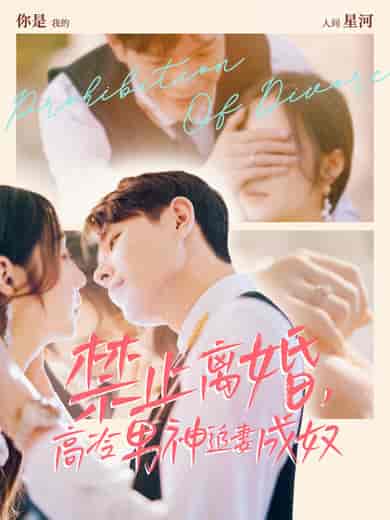 禁止离婚，高冷男神追妻成奴（57集全）王鑫＆秦语喃-搜外项目网