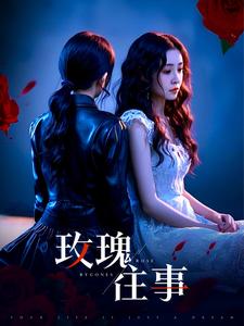 玫瑰往事（52集全）张磊-搜外项目网